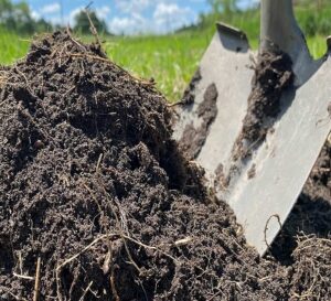 How Has the Organic Fertilizer Market Evolved